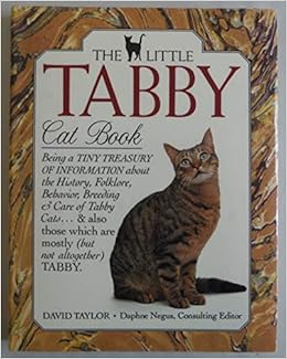 tabby cat care