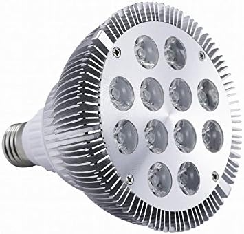 Amazon 白 4 青 4 紫外線 Uv 4 植物育成 Led スポットライト 超高輝度 ハイパワー 24w 室内 栽培 サンゴ 水槽 熱帯魚 観賞魚 照明 6ヶ月保証付 E26 Store Grace Gardenオリジナル ライト 照明 通販