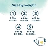 Pampers Harmonie Nappies Size 4 174 Nappies 9kg-14kg Monthly Pack view 7
