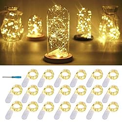 FELISHINE 20 Packs Fairy String Lights, 6.6FT 20