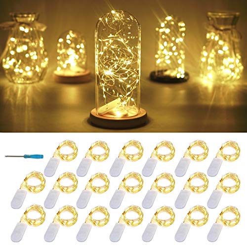 FELISHINE 20 Packs Fairy String Lights, 6.6FT 20