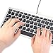 GMYLE Compact Wired USB Mini Keyboard for PC (Metallic Silver and Black)