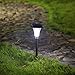 Twinkle Star Solar Path Lights Solar Garden Lights Outdoor LED Solar Landscape Lights Outdoor Garden Lights (8 Pack)