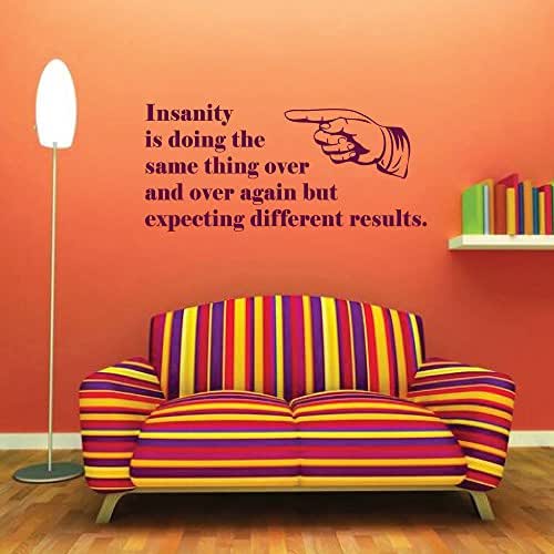 Albert Einstein Vinyl Wall Decal Definition of Insanity
