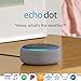 Echo Dot (3rd Gen) - Smart speaker with Alexa - Heather Gray