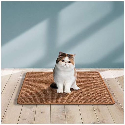 Liyahog Cat Scratcher Mat, Natural Sisal Scratching Pad, AntiSlip Cat