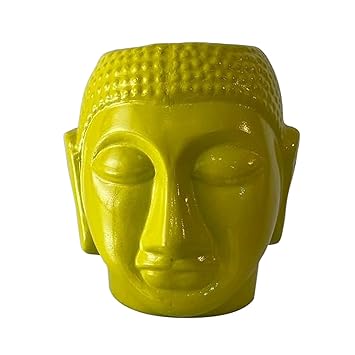 CreatorsPodd Frexinus Planter for Home D