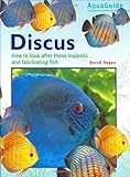 Discus (Aquaguide S.) by Bernd Degen