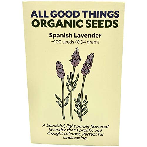 Spanish Lavender Seeds (~100): Certified Organic, Non-GMO, Heirloom, Open Pollinated Seeds from the United States Spanish Lavender Seeds (~100): Certified Organic, Non-GMO, Heirloom, Open Pollinated Seeds from the United States