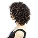 Befunny Curly Wigs for Black Women Short Jerry Kinky Curly Human Hair Wigs For Women Soft Fluffy None Lace Highlight Brown/Black Wigs (P1B/30#)