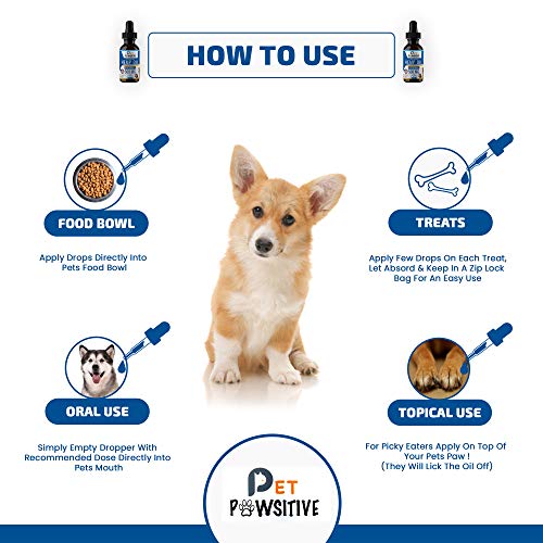 3 Pet+Pawsitive+Separation+Arthritis+Anti+Inflammatory