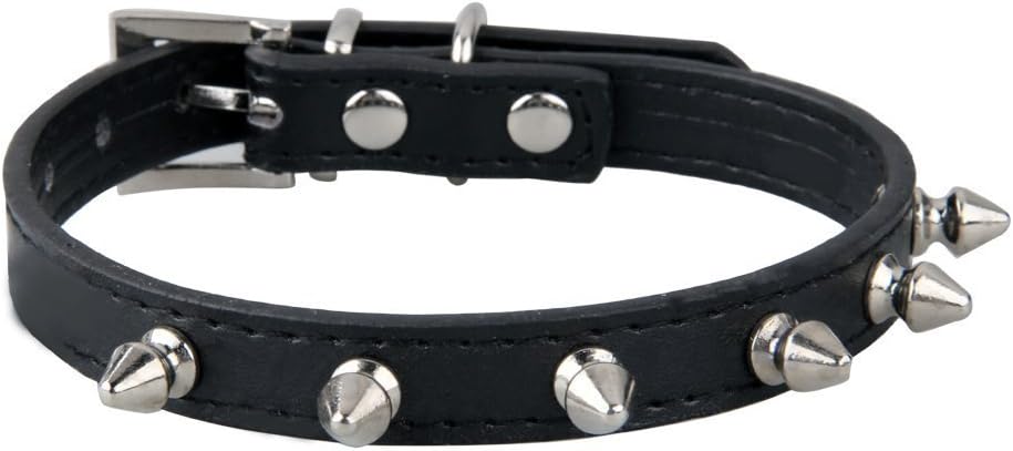 collari per cani personalizzati