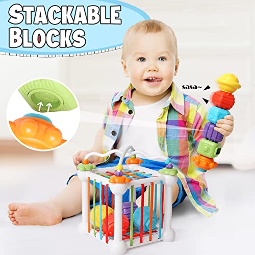 Abellzos Baby Shape Sorter Toys, Montessori Toys for 1 Year Old