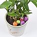 KLOUD City Pack of 50 Mini Artificial Mushroom for Flower Pots, Plant Boxes, Containters, Planters Decoration, Microlandschaft Decorative Accessories
