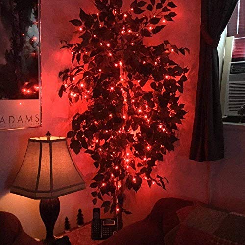 Independence Day Battery Operated Fairy String Lights, 5M/16.4Ft 50LEDs Dimmable Fairy Lights for Indoor Outdoor Home Christmas Tree Wreath Decoration,red