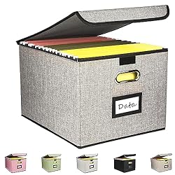 Desihum Collapsible File Organizer Box, filing