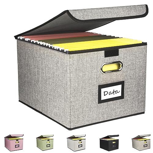 Desihum Collapsible File Organizer Box, filing