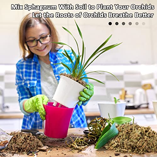 10 OZ Orchid Sphagnum Moss Dried Peat Moss for Potted Plants Mix Soil