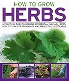 How to Grow Herbs: A Practical Guide to Growing 18 Essential Culinary Herbs, with Step-by-Step Techniques and 200 Colour Photographs by 