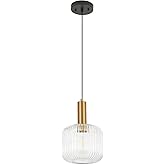 ALAISLYC 8 Inch Clear Glass Pendant Lights Small Modern Chandelier Pendant Lighting Mid Century Hanging Lights Adjustable Kit