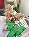 Dooby's Dog Toys Weed Leaf Emoji Hemp Funny Dog Toy