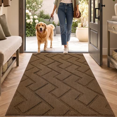 Biscpro Fußmatte Innen Außen Waschbar eingangsteppich innen Schmutzfangmatte rutschfest,Türmatte Innen Teppich für Eingang, Patio, Flur, Garten, Innen