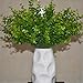 Helen Zora Artificial Flower Green Tree Branch Eucalyptus Leaves for Home Office Party Decor Wedding Scene Setting