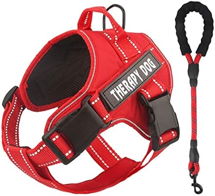 support dog vest amazon