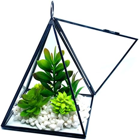 Cvens Clear Glass Terrariums,Geometric Terrariums,Geometric Air plants terrarium,Succulent planters,Artficial Plants Air Plant Geometric Terrariums Holder for Tabletop Succulent Plants Holder