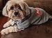 Pupreme Box Logo Dog Hoodie (Medium) for Toy Sized Dogs/Pups