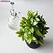 OFFIDIX Artificial Eucalyptus Plants with Black Vase for Office Desktop, Home and Friends’ Gift Fake Plant with Plastic Pots for Home Decoration Potted Plants for Bookshelf (Light Green)