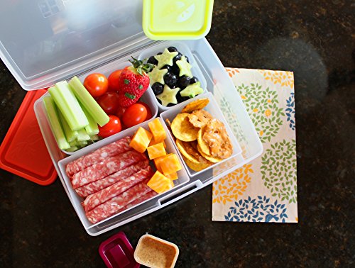 Bentology - Leak-proof Bento Lunch Box with 5 Removable Containers - Fruit / Multicolor