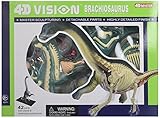 Famemaster 4D Vision Brachiosaurus  Anatomy Model