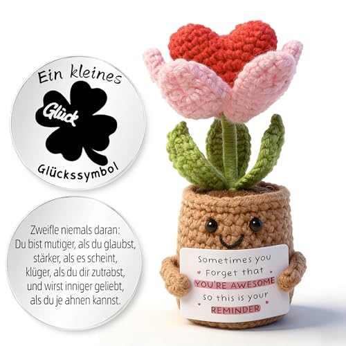 Gehäkelter Herz-Blumentopf Mit Glücksmünze - Emotionale Unterstützung Geschenk Für Frauen Männer Familie Freunde Zu Geburtstag Muttertag Abschluss Deko