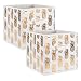 DII Foldable Fabric Storage Containers (11x11x11) Pineapple Set of 2, Small (2), White/Gold
