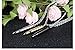 COCO Park Polish Bullet Charm Pendant Necklace Stainless Steel Urn Ash Memorial Keepsake Love Token Holder, Black