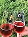 Simply Charmed Halloween Black Cat Magnetic Wine Glass Charms - Wine Magnet Drink Markers Set of 6