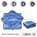 Windscreen4less 6' x 8' General Multiple Purpose 5 Mil Waterproof Blue Poly Tarp