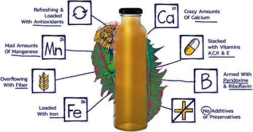 Prebiotic Tea LION (Blueberry Hibiscus) Dandelion Improve Digestion & Reduce Bloating Our Prebiotics Feed Your Probiotics Boost Immune System Delicious and Refreshing Bottled Tea Dandelion Leaf Root
