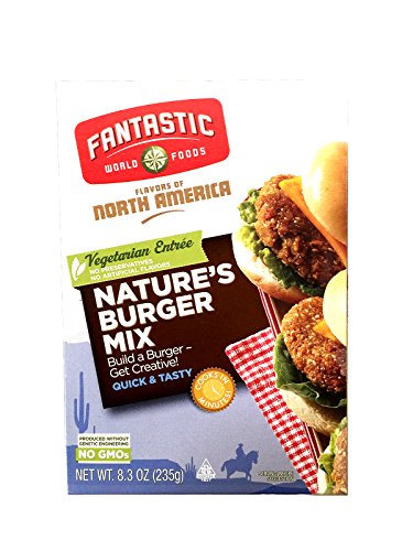 Fantastic World Foods Nature's Burger, 8.3-Ounce Boxes (Pack of 12)