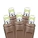 Novelty Lights 11ft 50 LED Warm White Christmas String Lights, 2.5