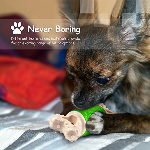 Fluffy Paws 5.6" Durable Squeaky Bone-Shaped Rubber Dental Chewing Biting Pet Toy, Green/White