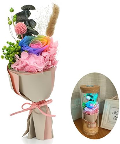 Forever Rose BABALI RGB LED Lights Decoration Real Natural Fresh Handmade Never Withered Rose Preserved Flowers In Glass Jar, Gift for Valentine Wedding Birthday Anniversary (Rainbow Rose)