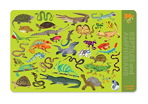 Crocodile Creek 36 Animals/Reptiles & Amphibians 2-Sided Placemat, Green/Orange/Red/Purple - Thumbnail 2