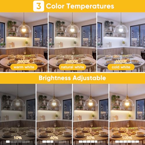 TaoFiaCo E27 Rechargeable Light Bulb with Remote Control – Battery-Free Bulb 3 Colours Dimmable USB 7W Button Control Pack of 2