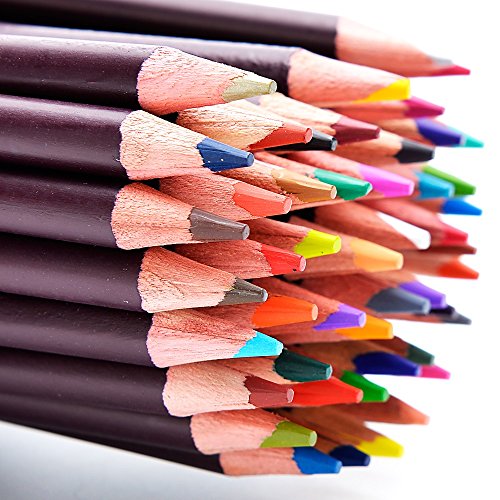48 Professional Oil Based Colored Pencils for Artist Including Skin