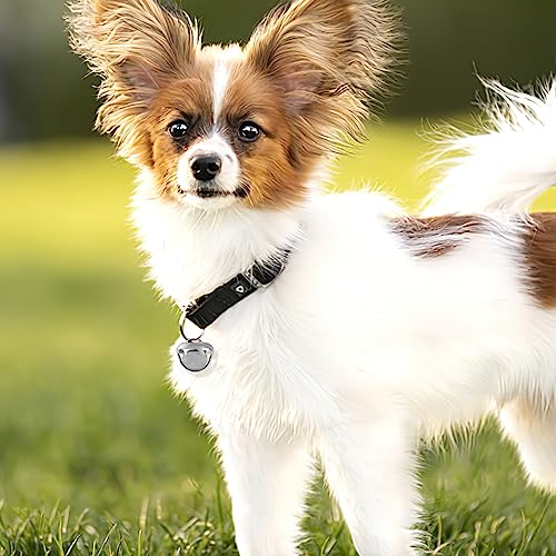 VGOODALL 250PCS Craft Bells Bulk, Jingle Bells Assorted Sizes Silver Bells for Crafts Christmas Wreath Party DIY Projects Home Decor