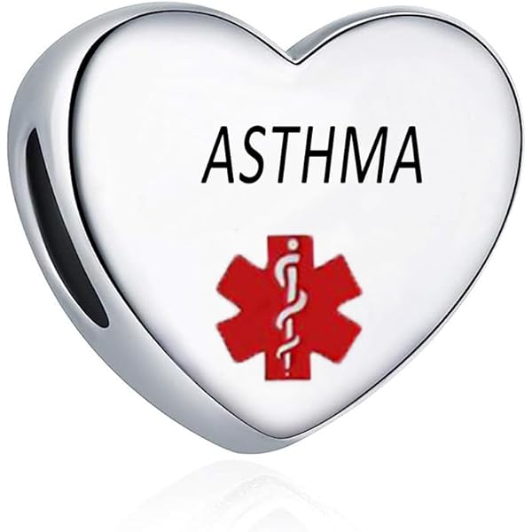 Amazon.com: OutstandLong Heart P.T.S.D Alert ID Silver Charm