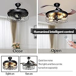 DLLT Ceiling Fan with Lights-42 Industrial Ceiling