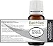 Black Pepper Essential Oil 10 ml Piper Nigrum 100% Pure Undiluted Therapeutic Grade.
